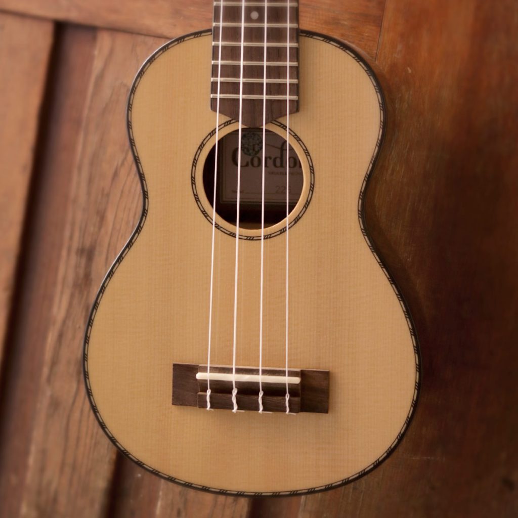 Kategorie Ukulele