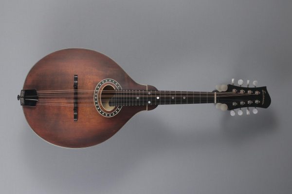 Eastman MD 304