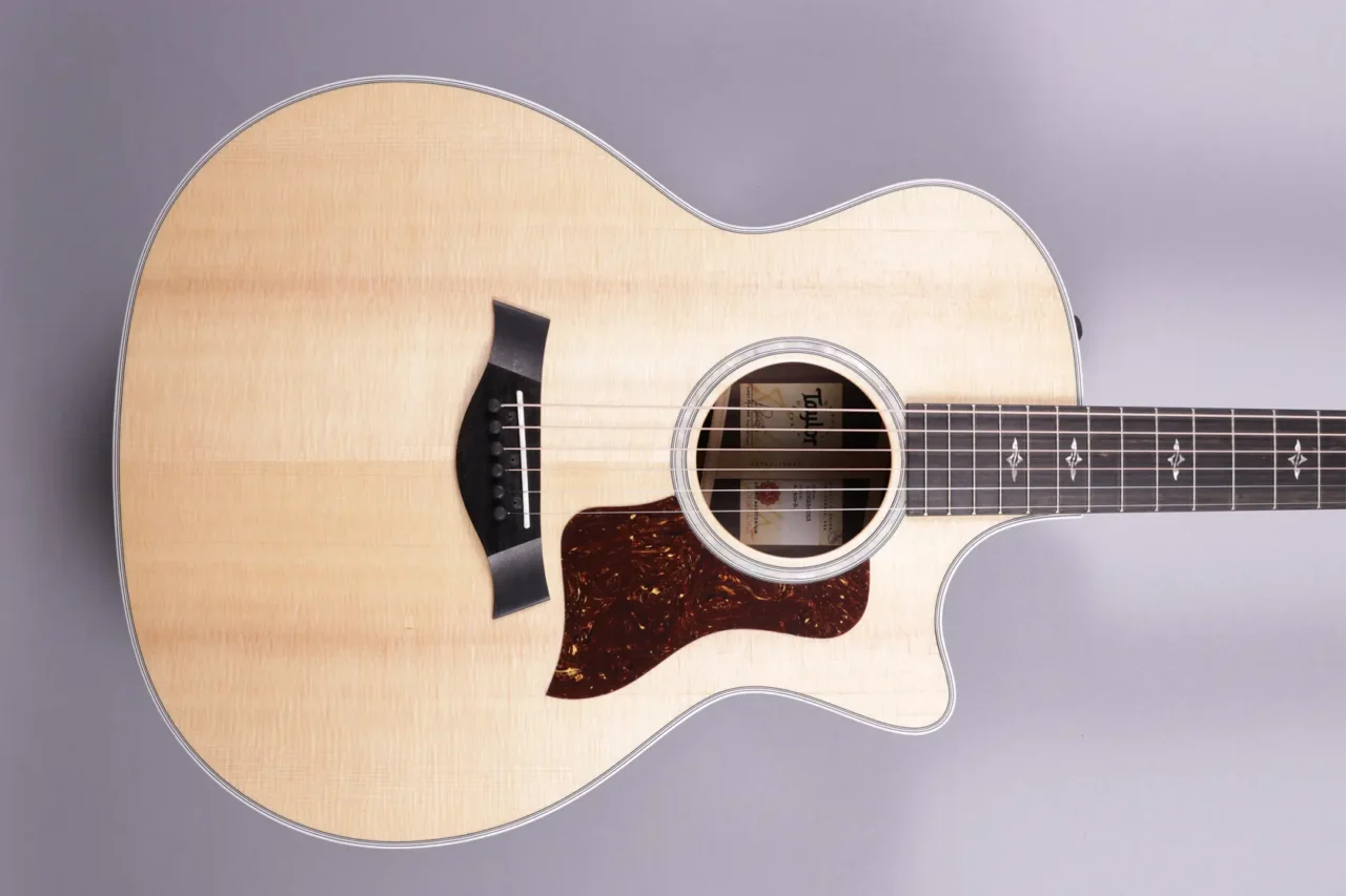 Taylor 414ce-R V-Class – Bild 3