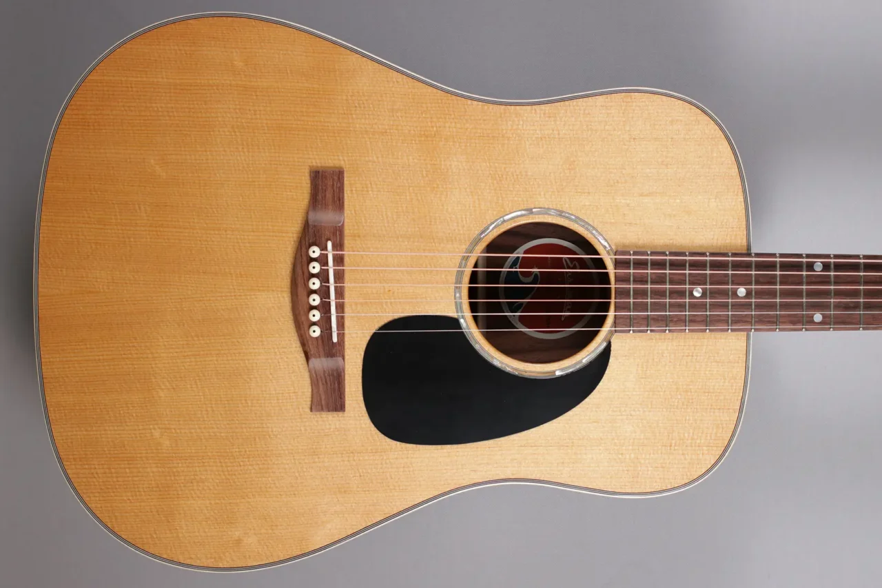 Eastman PCH2-D – Bild 2