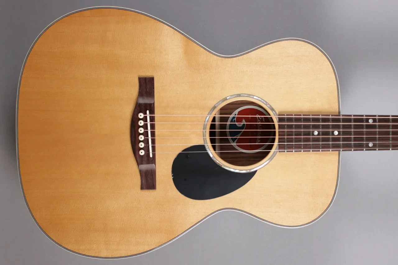 Eastman PCH2-OM – Bild 3