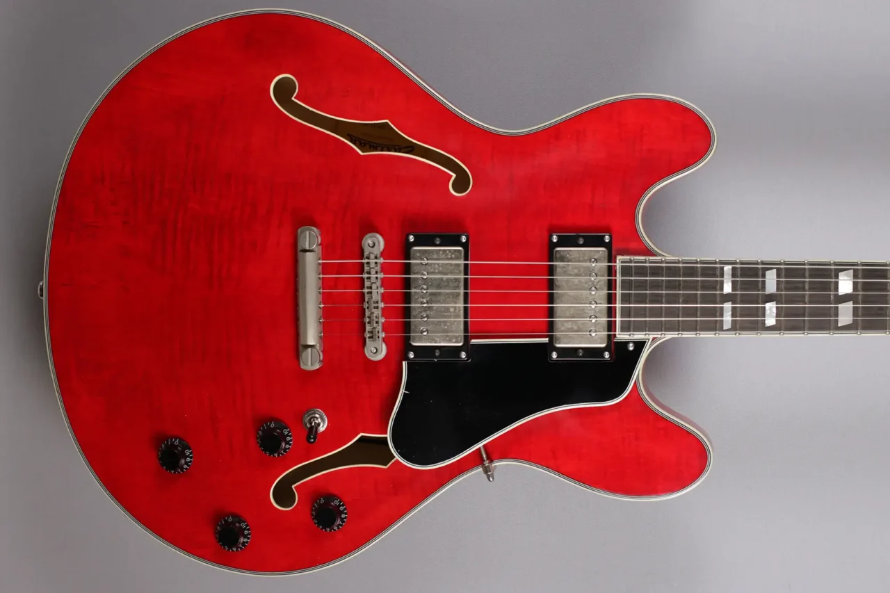 Eastman T59/TV-RD – Bild 3