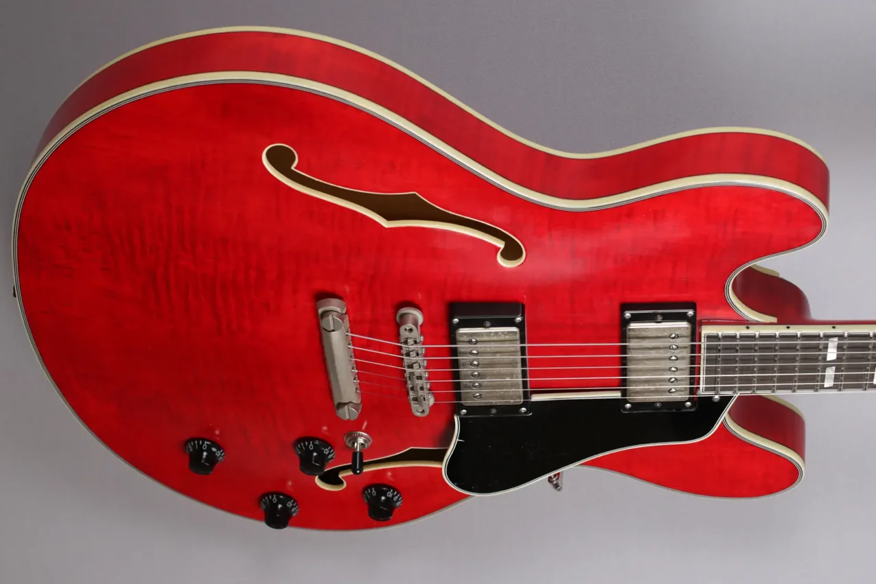Eastman T59/TV-RD – Bild 4