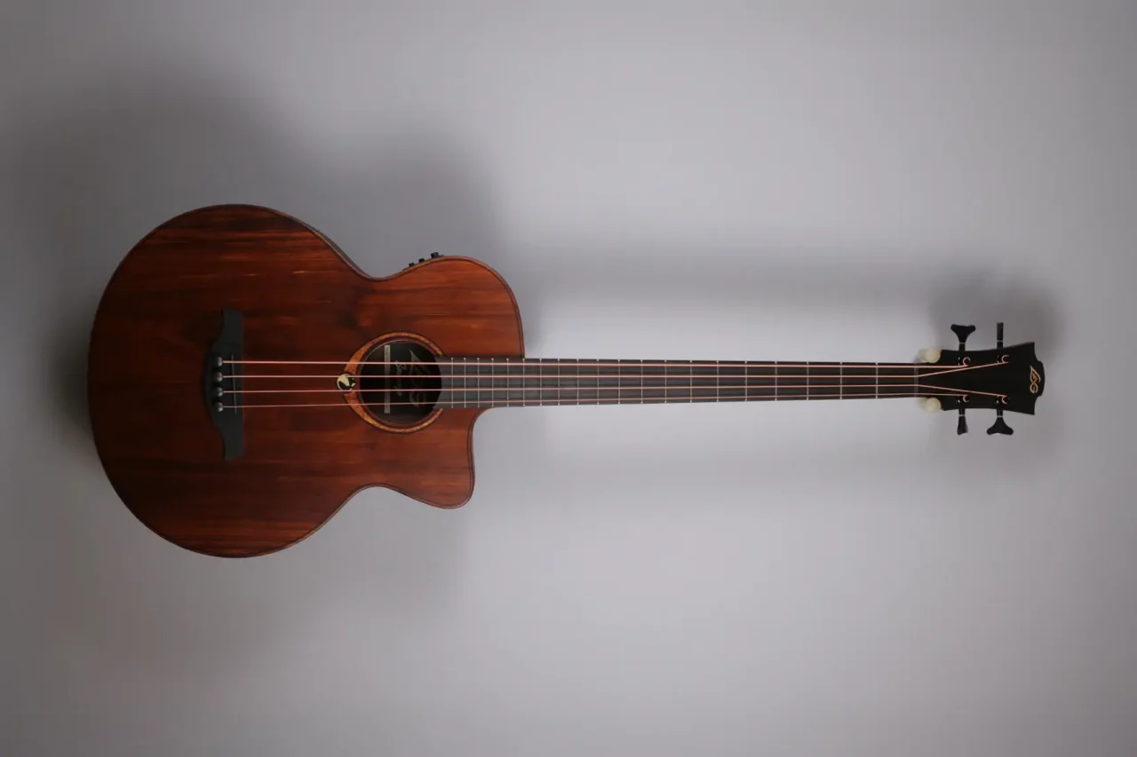 LAG TBW2ACE Acoustic Bass