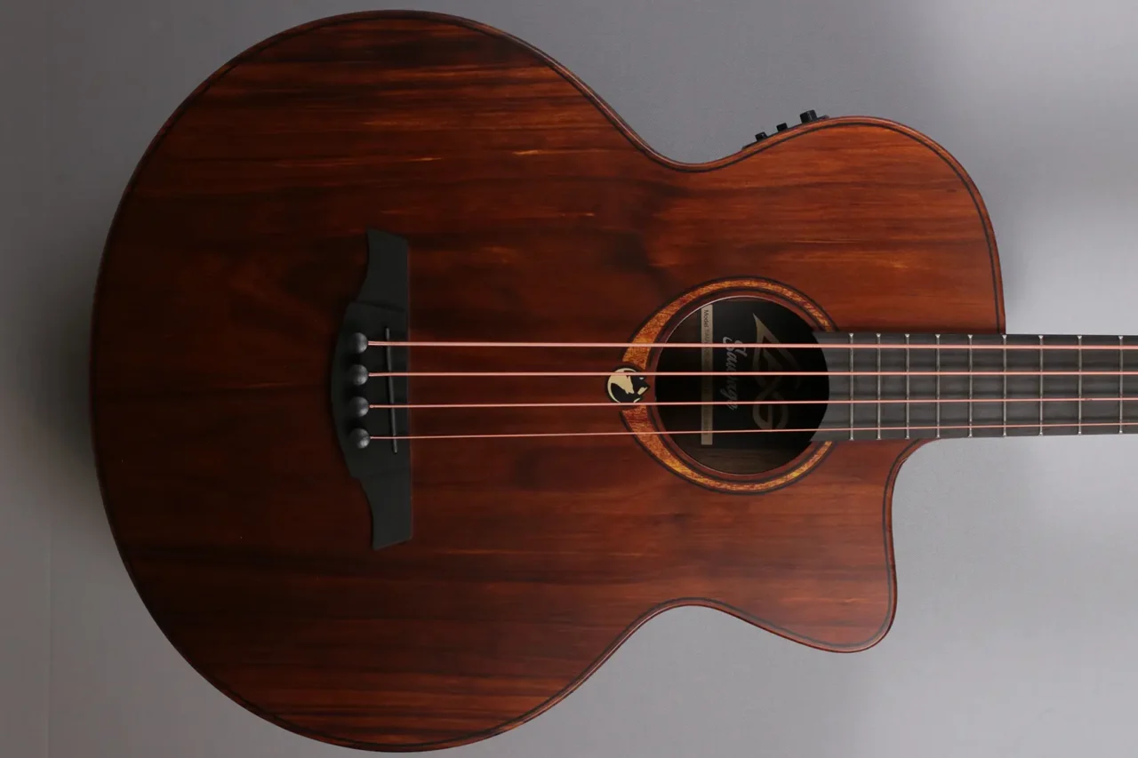 LAG TBW2ACE Acoustic Bass – Bild 3