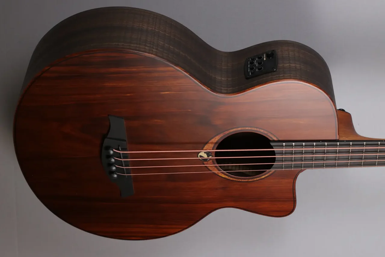 LAG TBW2ACE Acoustic Bass – Bild 4
