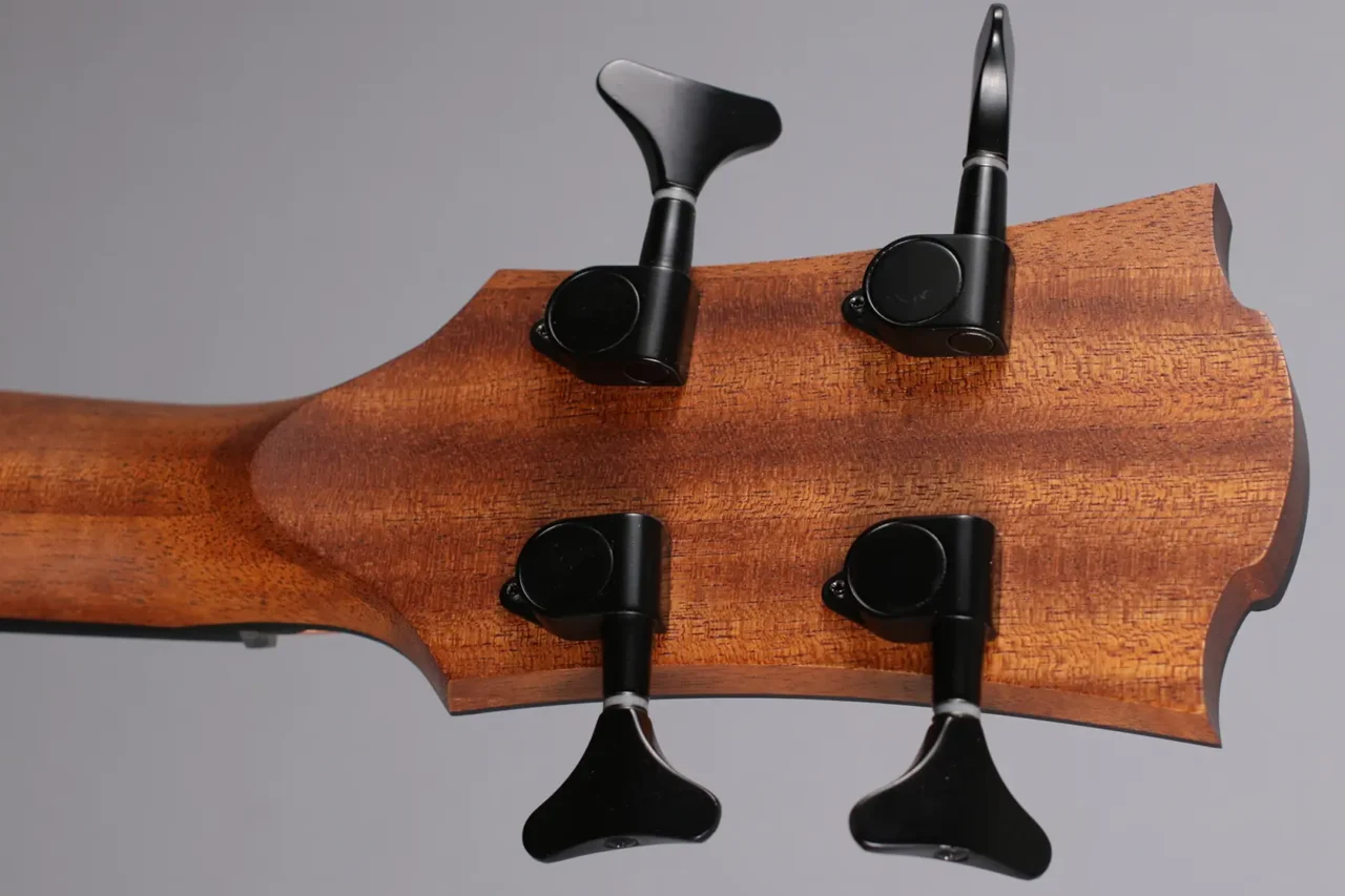 LAG TBW2ACE Acoustic Bass – Bild 6
