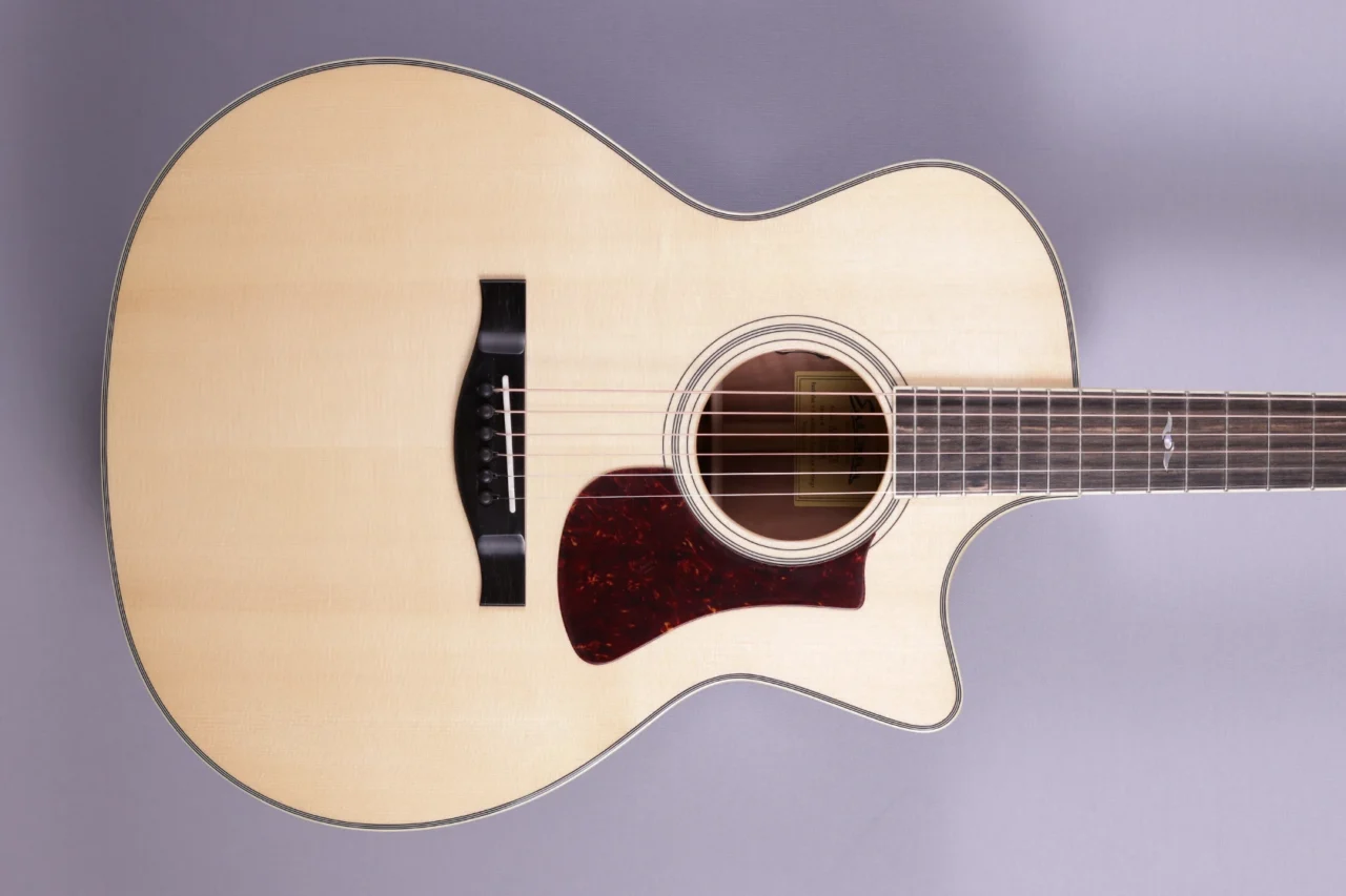 Eastman AC322CE – Bild 3