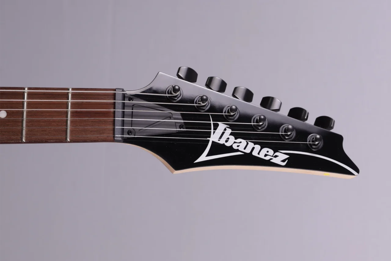 Ibanez RG421QM-CBB – Bild 5