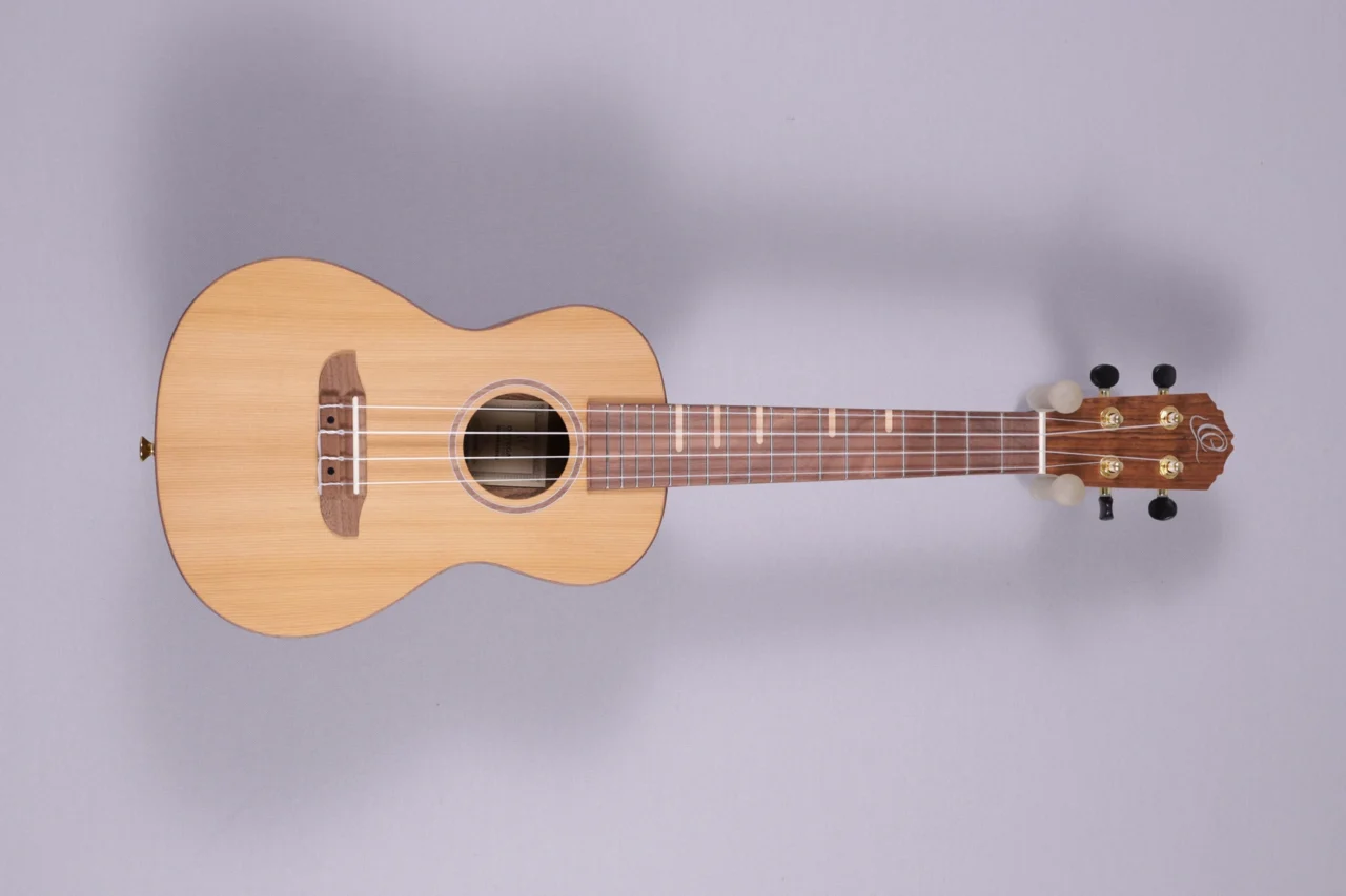 Ortega RUTI-CC