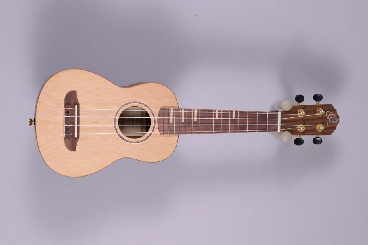 Ortega RUTI-SO