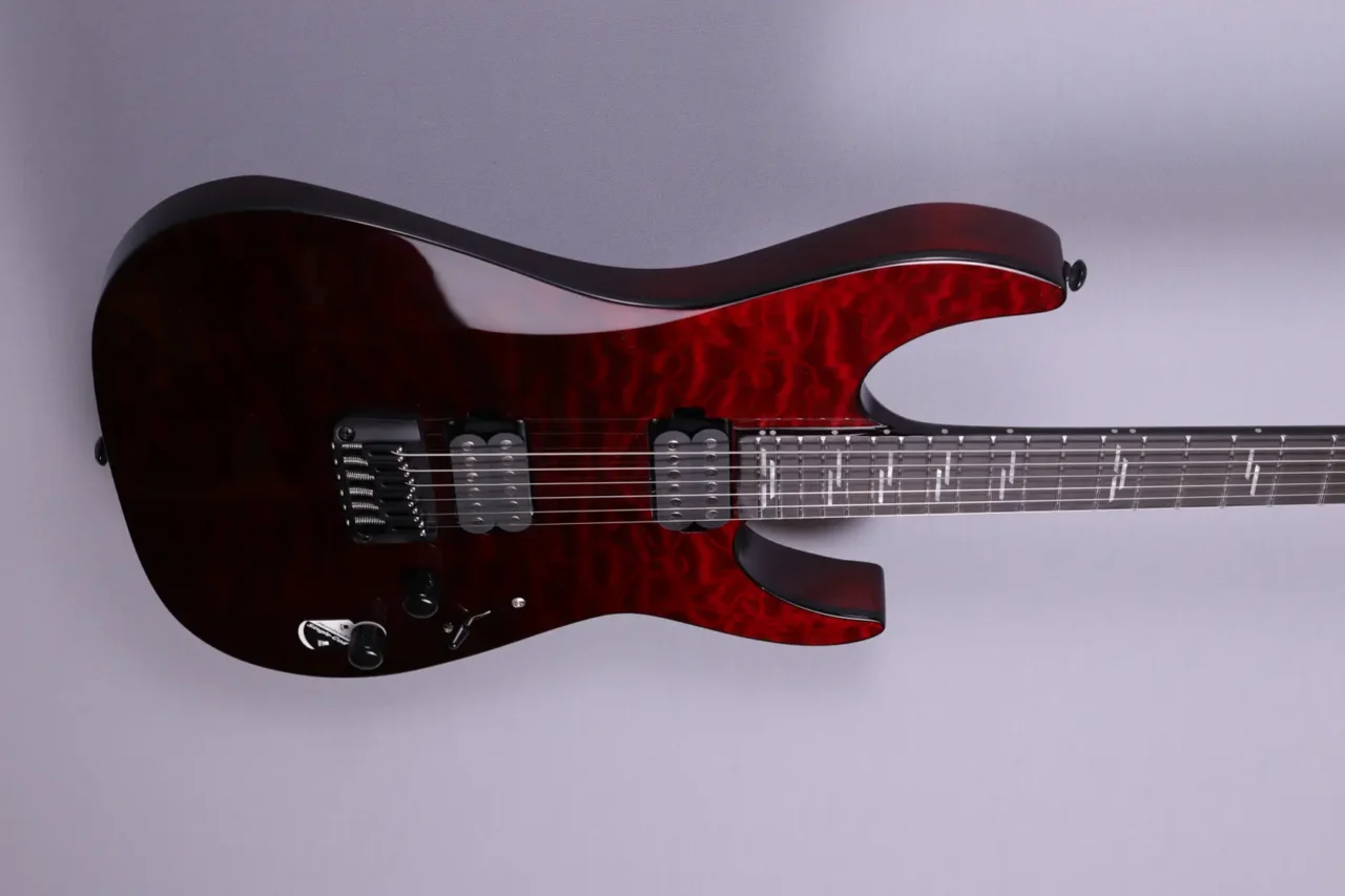 Schecter Reaper 6 Elite Bloodburst – Bild 4