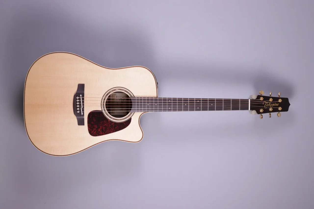 Takamine P5DC