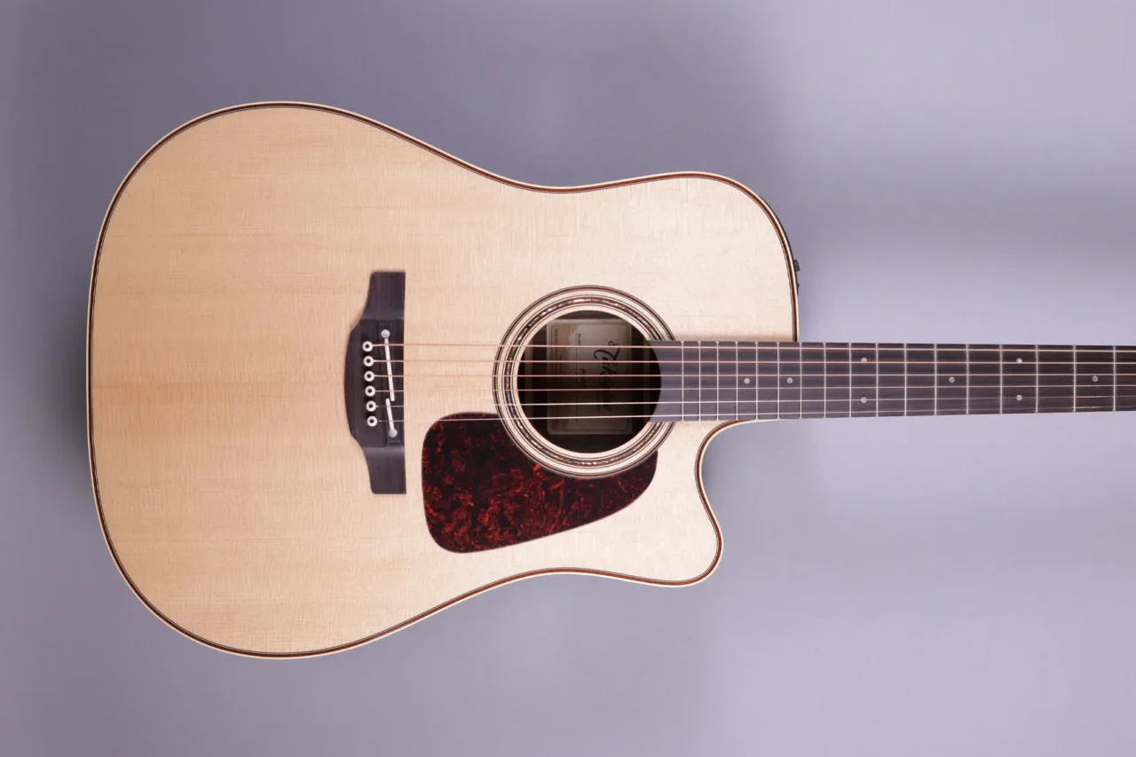 Takamine P5DC – Bild 2