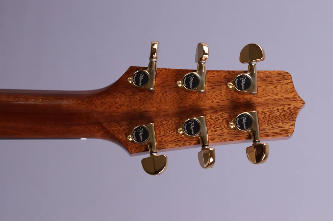 Takamine P5DC – Bild 6