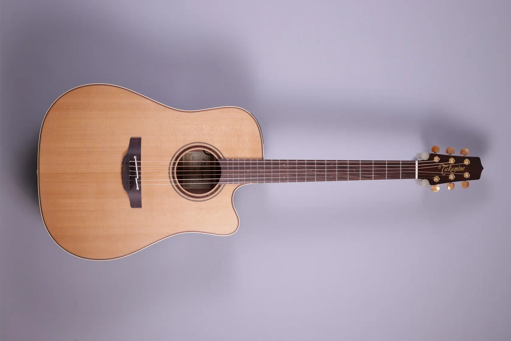 Takamine-Santa-Fe TSF 40 C