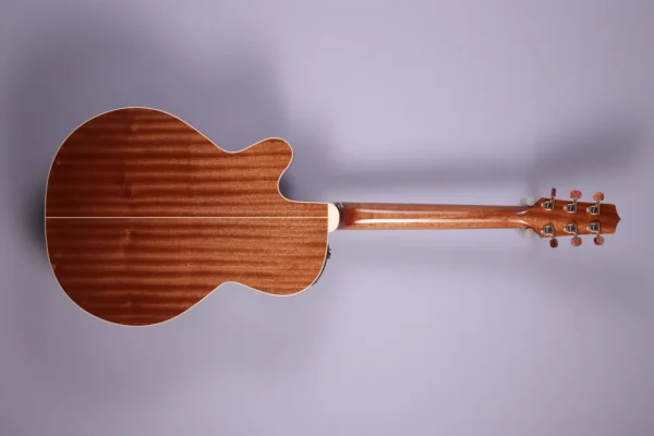 Alternative view of Takamine-Santa-Fe TSF 40 C