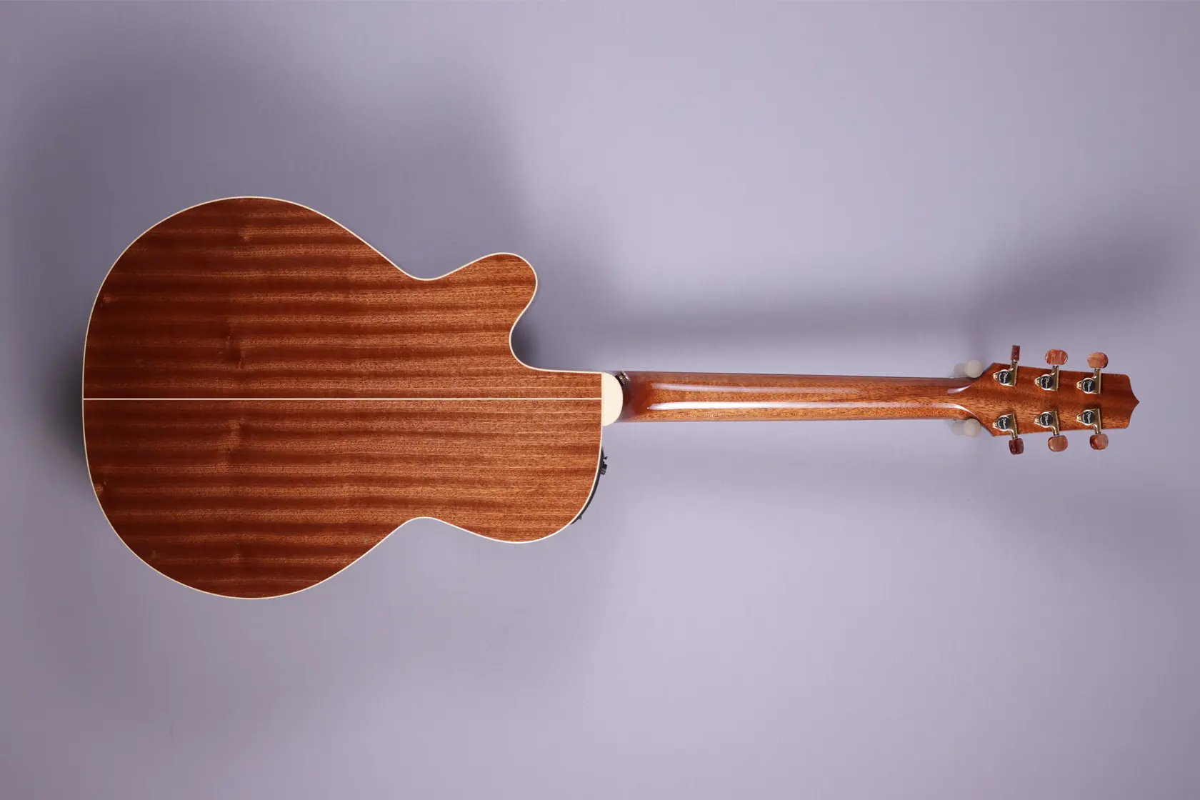 Takamine-Santa-Fe TSF 40 C – Bild 2