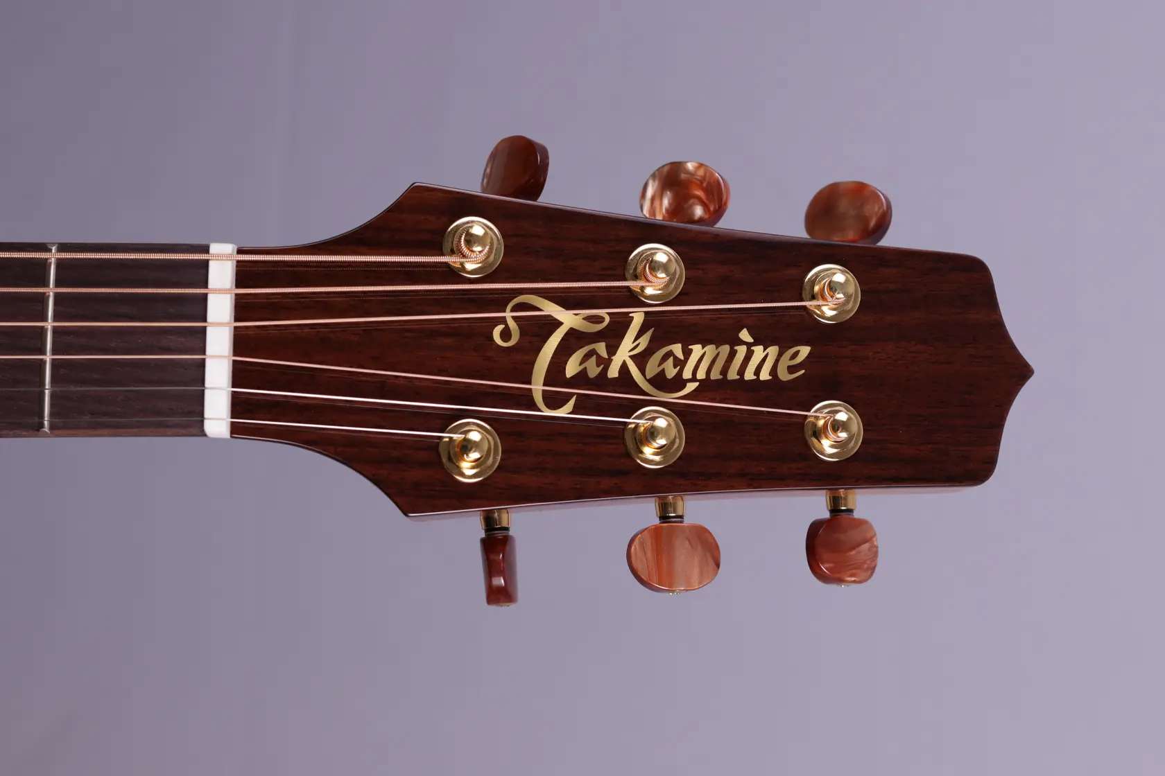 Takamine-Santa-Fe TSF 40 C – Bild 6