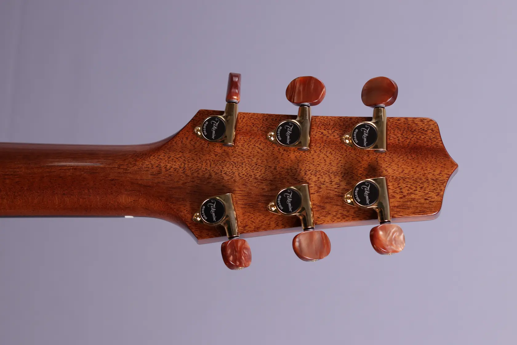 Takamine-Santa-Fe TSF 40 C – Bild 7