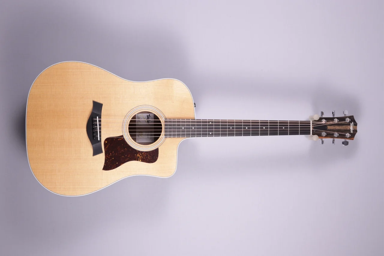 Taylor 210ce
