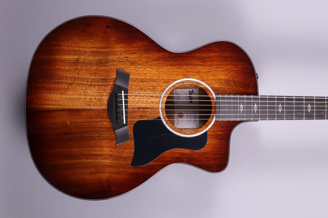 Taylor 224ce-K-DLX – Bild 3