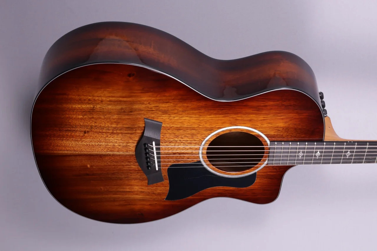 Taylor 224ce-K-DLX – Bild 4