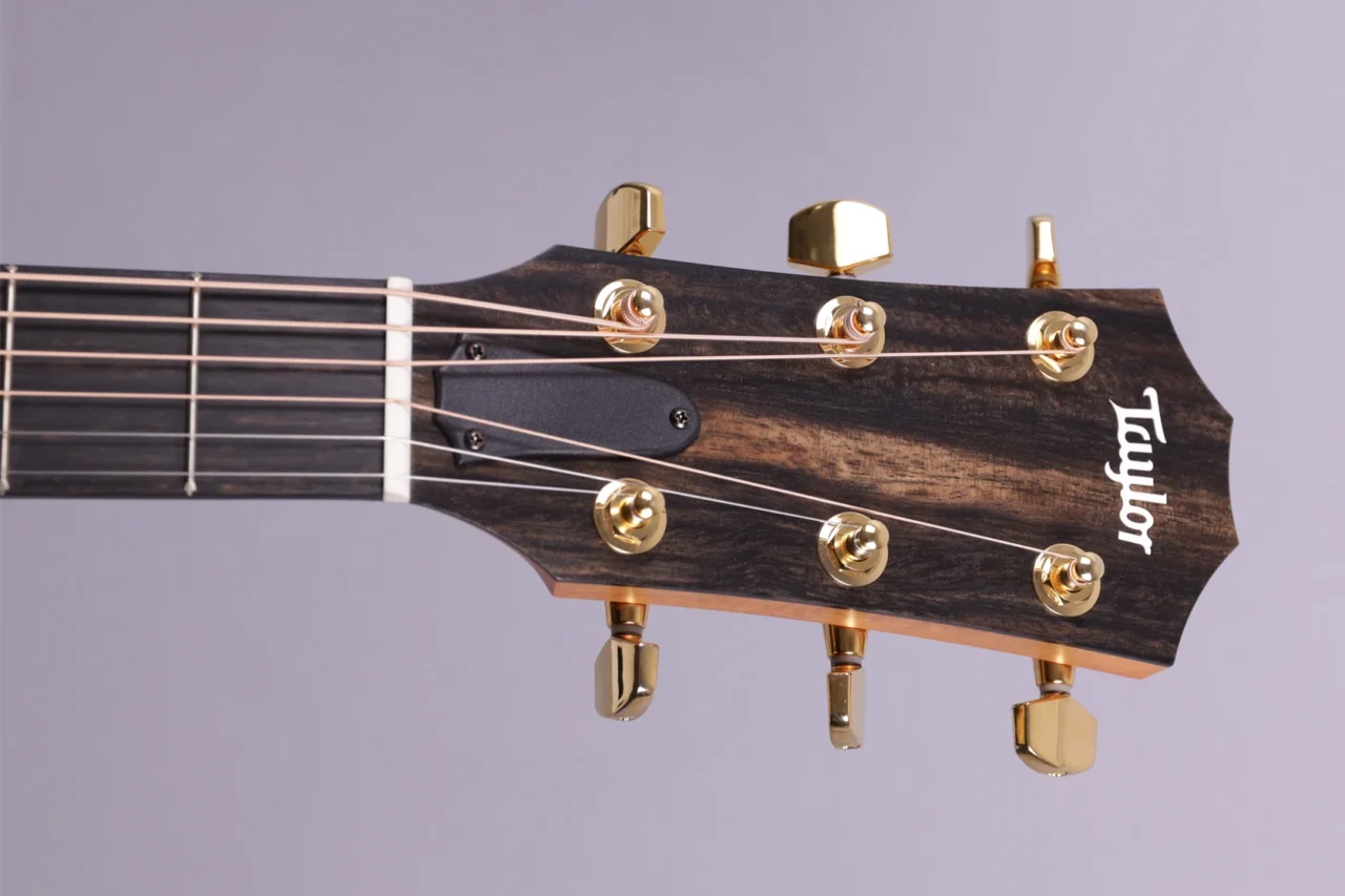 Taylor 224ce-K-DLX – Bild 5