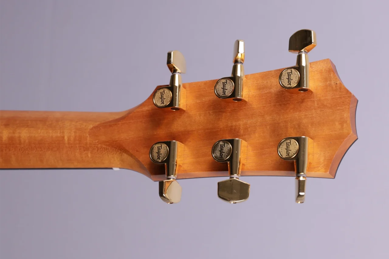 Taylor 224ce-K-DLX – Bild 6