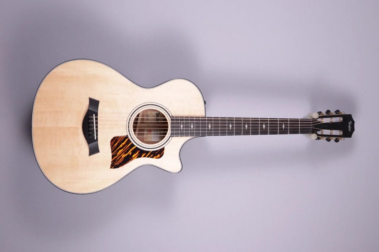 Taylor 312ce 12-fret V-Class