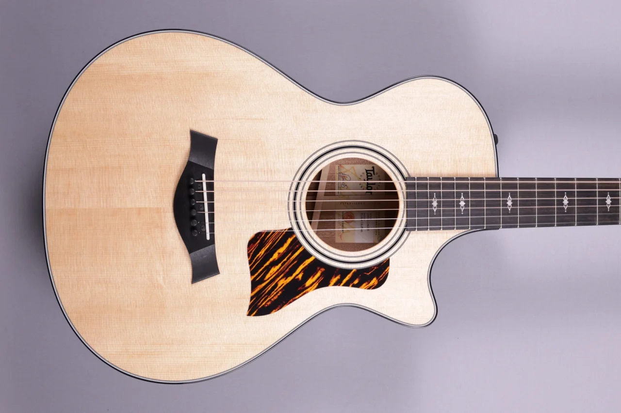 Taylor 312ce 12-fret V-Class – Bild 2
