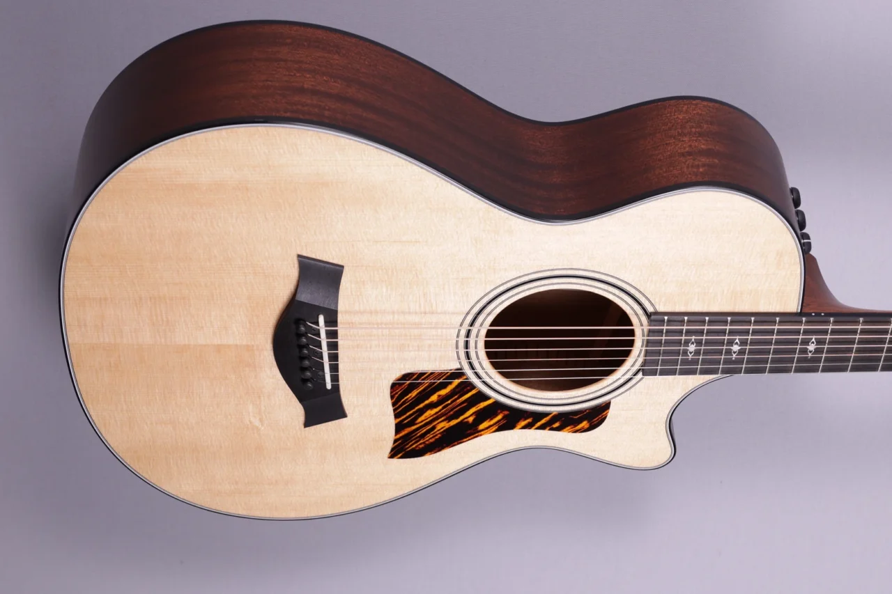 Taylor 312ce 12-fret V-Class – Bild 4
