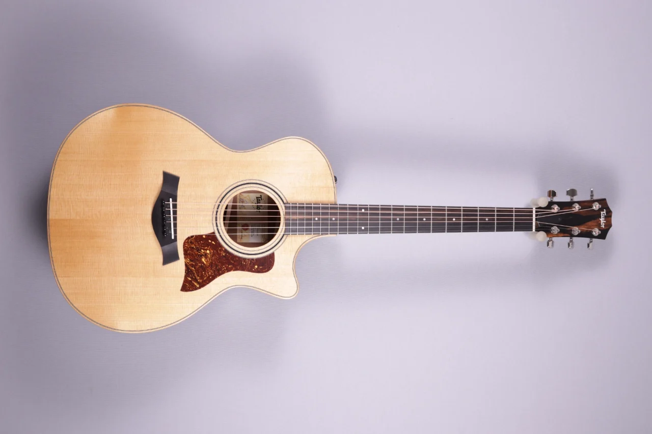Taylor 314ce Studio Special Edition