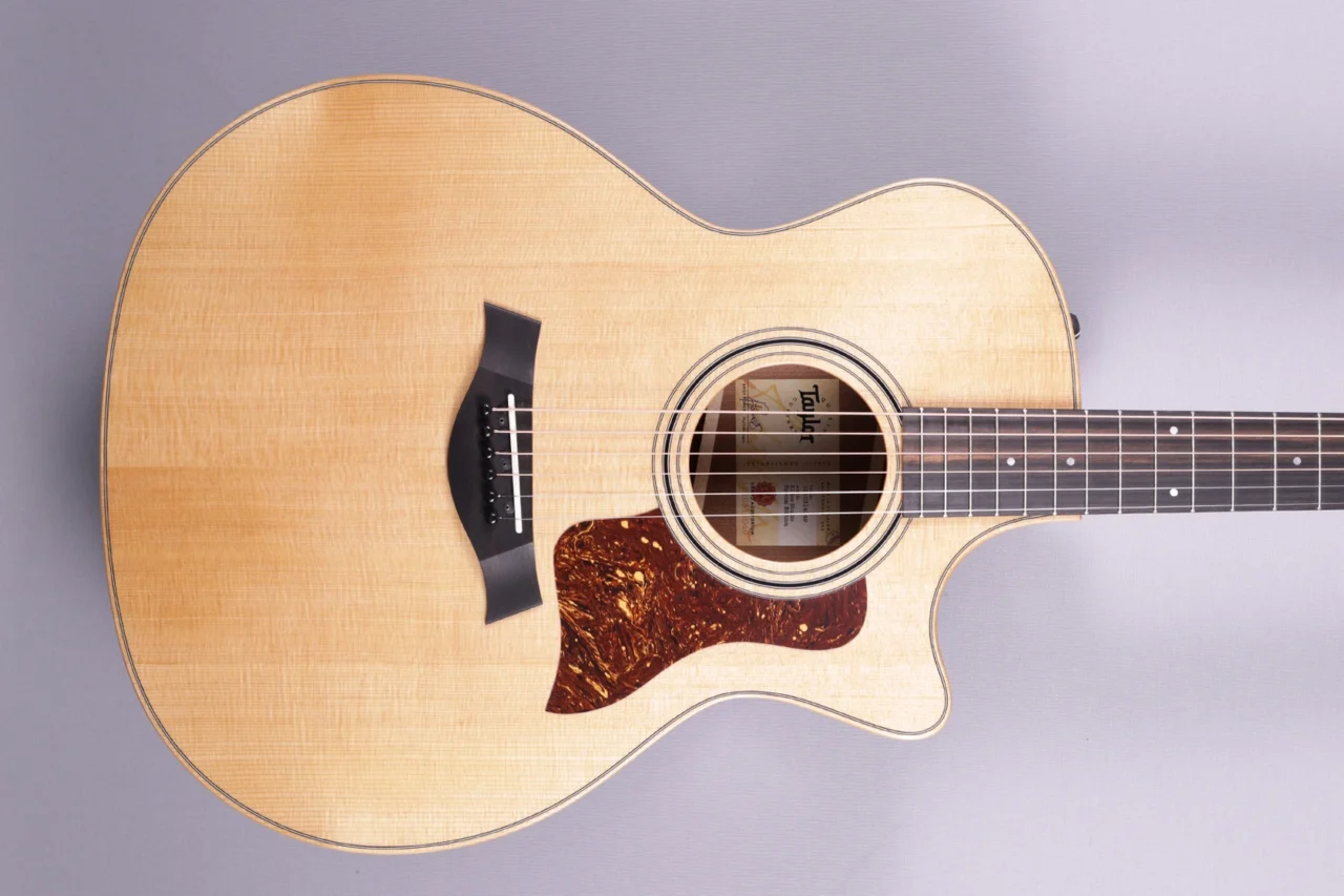 Taylor 314ce Studio Special Edition – Bild 3