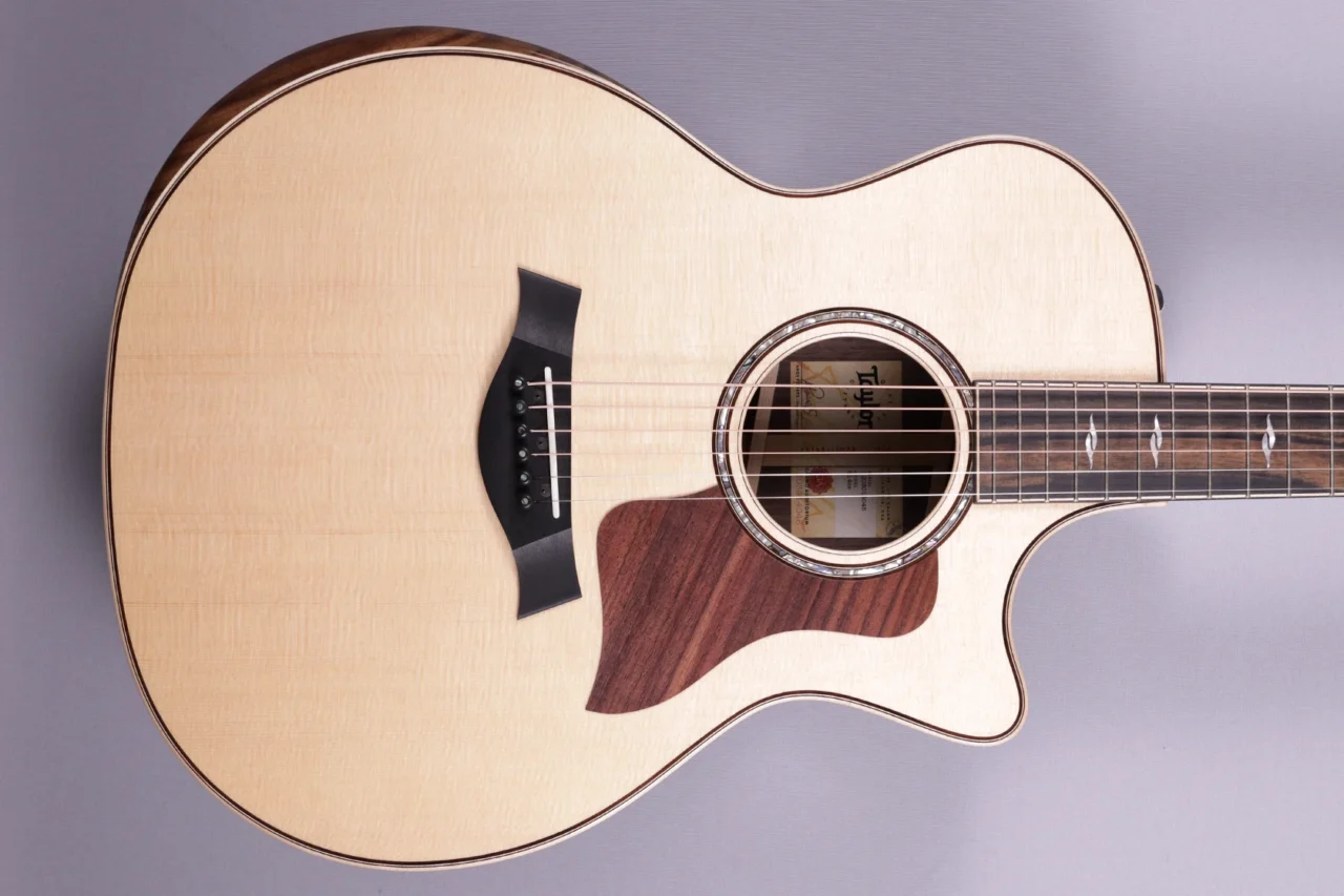 Taylor 814ce V-Class – Bild 3