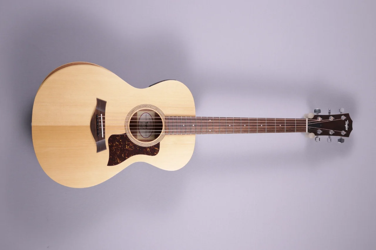 Taylor Academy 12e