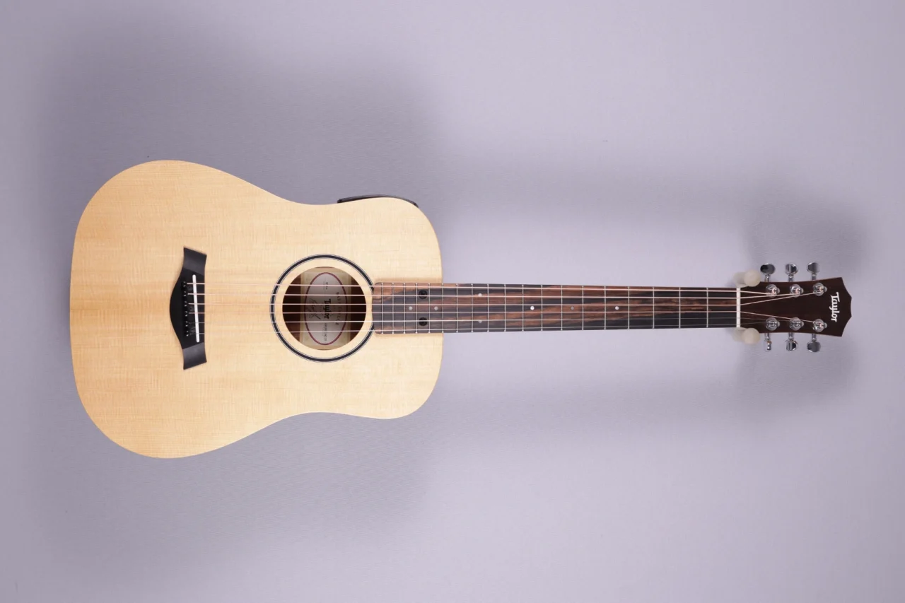 Taylor BT1-e Walnut