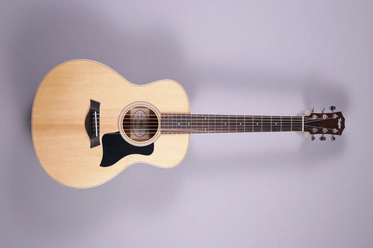 Taylor GS Mini