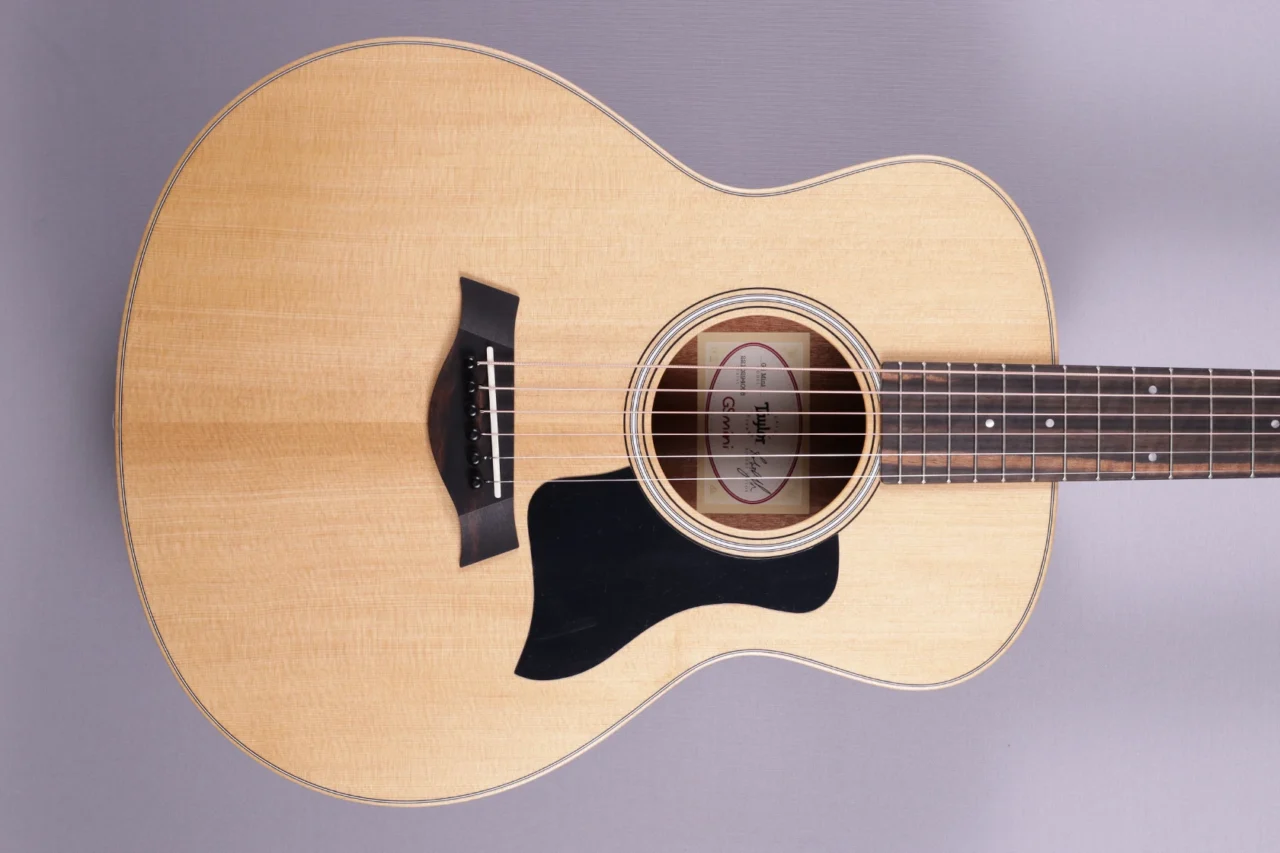 Taylor GS Mini – Bild 3