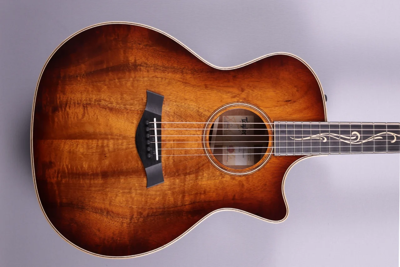 Taylor K24ce V-Class – Bild 3