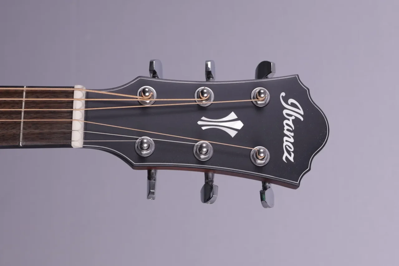 Ibanez AEG 50 Black Aurora Burst Matte – Bild 5