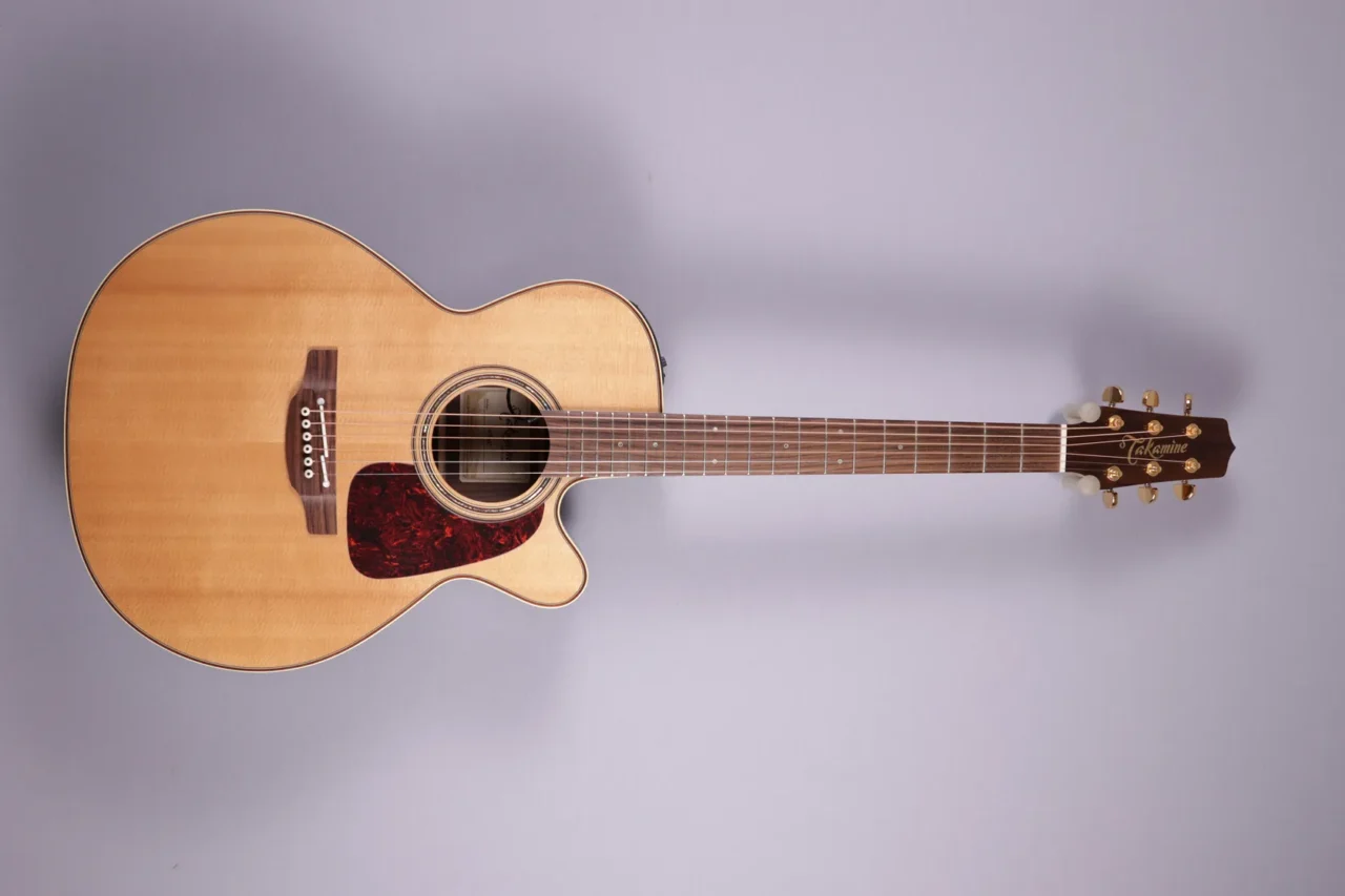 Takamine P5NC