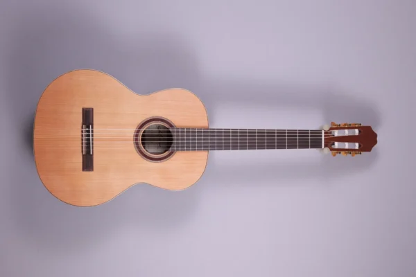 Kremona Soloist Guitar F65C