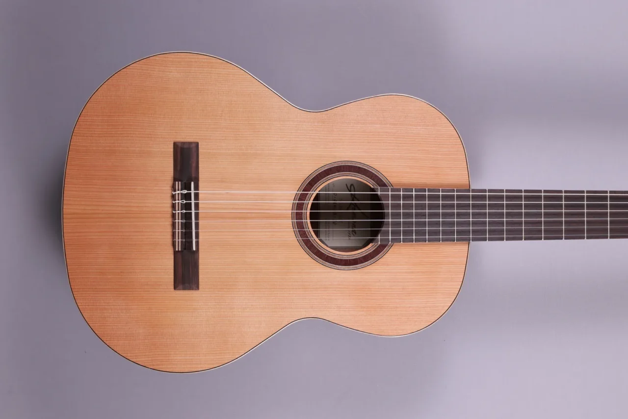 Kremona Soloist Guitar F65C – Bild 3