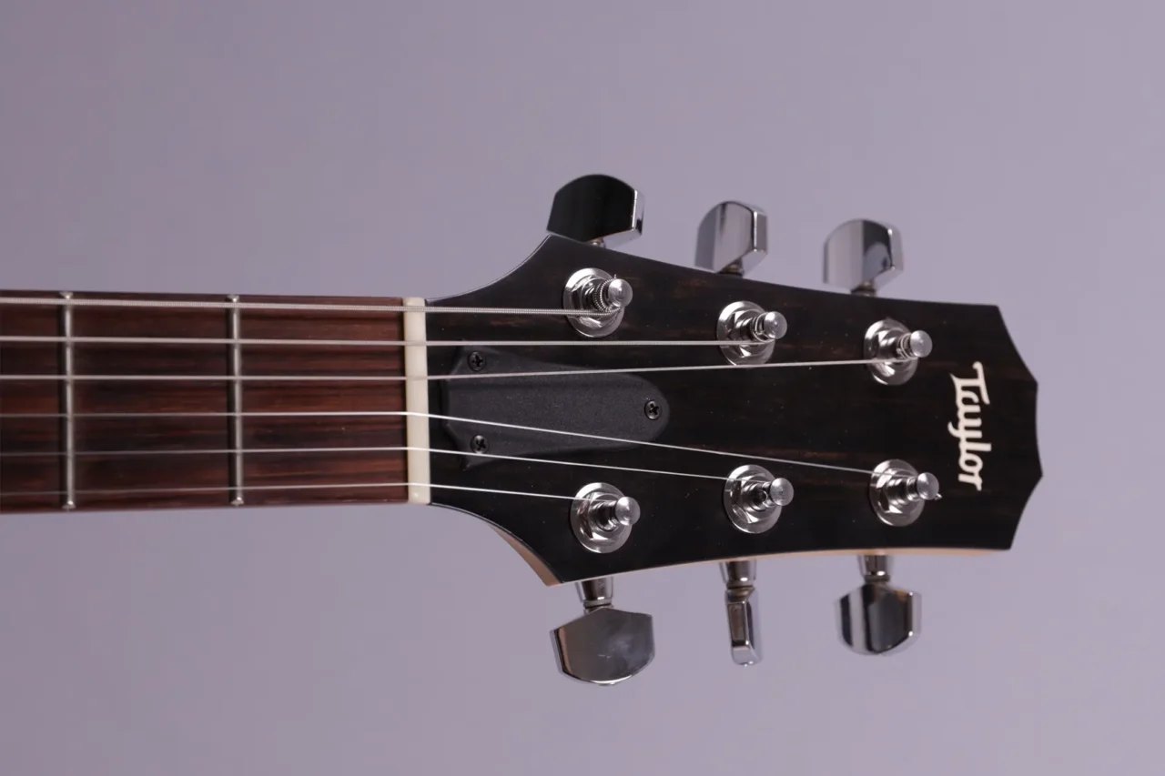 Taylor SB-1 X natural – Bild 5