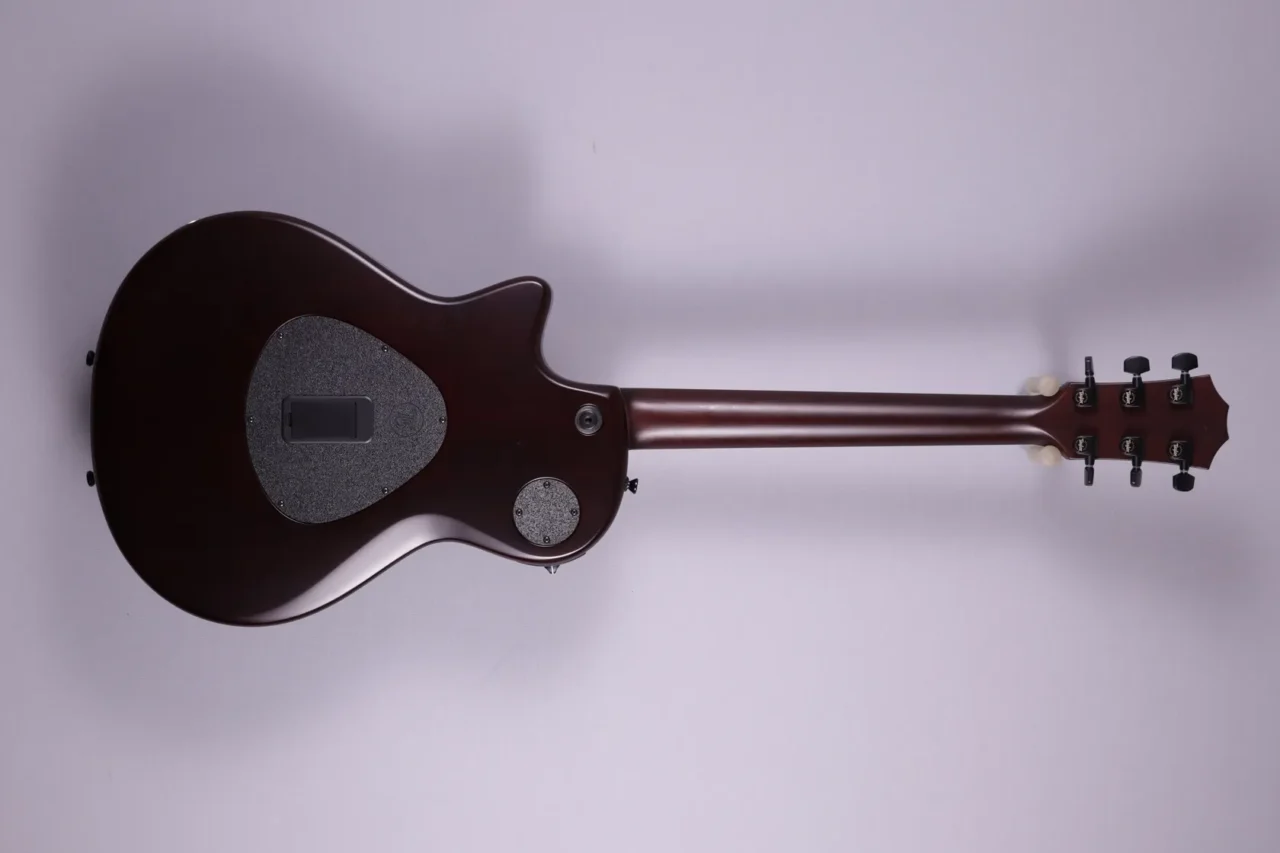 Taylor T52 T5z Classic – Bild 2
