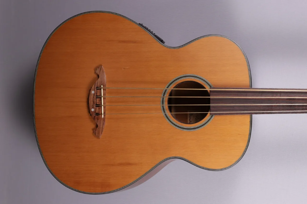 Vester Fretless Acoustic Bass – Bild 3