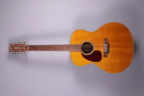 Blueridge BR 120-12 LH