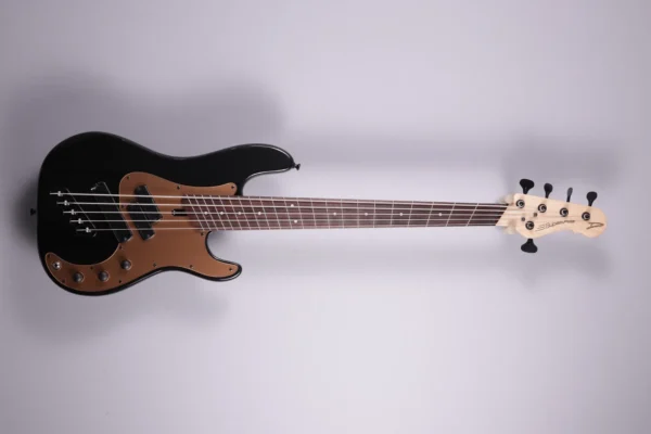 Dingwall SP1 5-String Black
