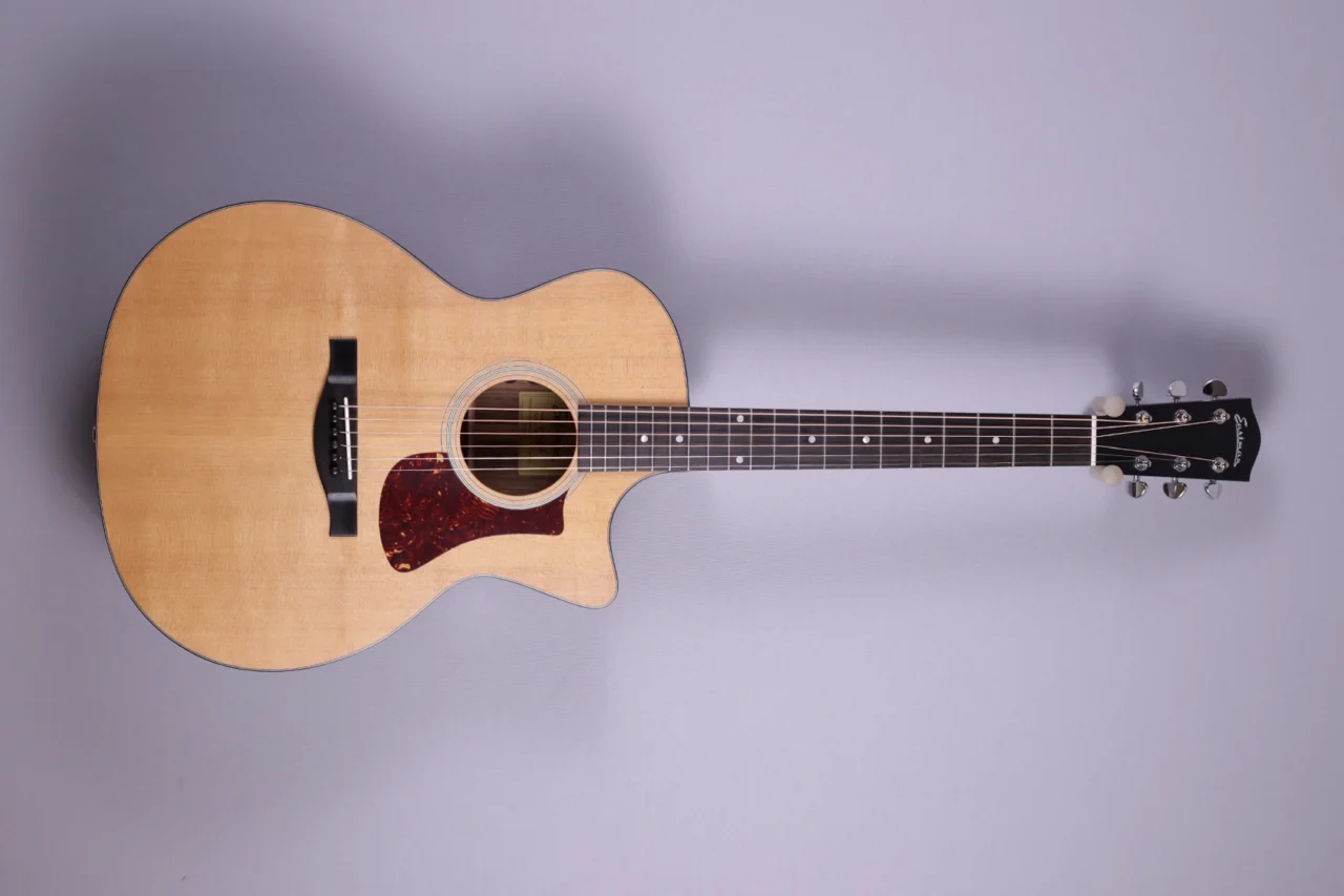 Eastman AC 222 CE